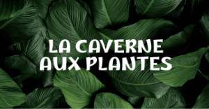 caverne-aux-plantes